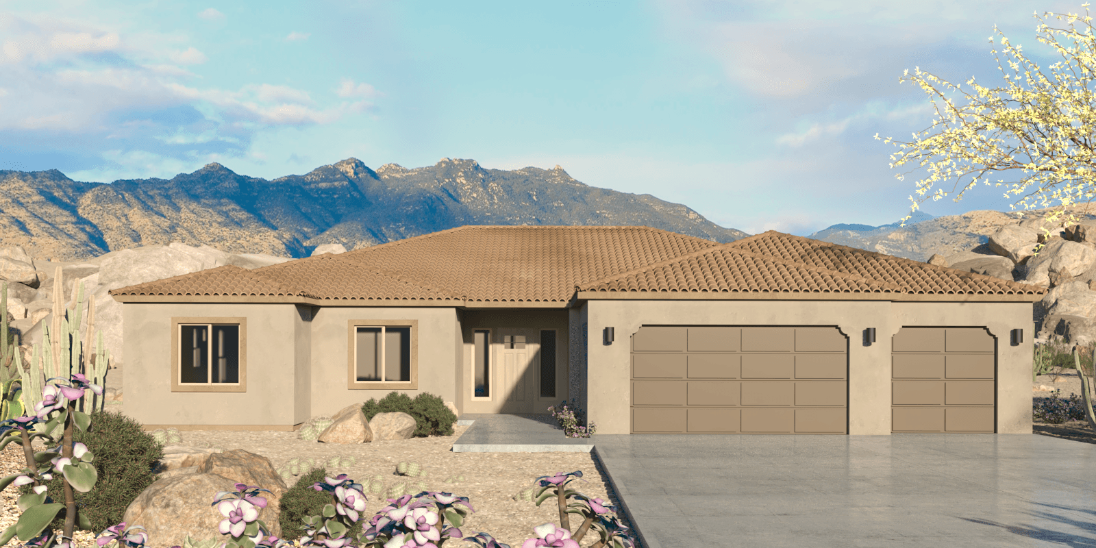 Mesquite Sonoran Elevation