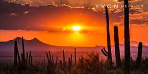 Yvon  Heights - Tucson, AZ