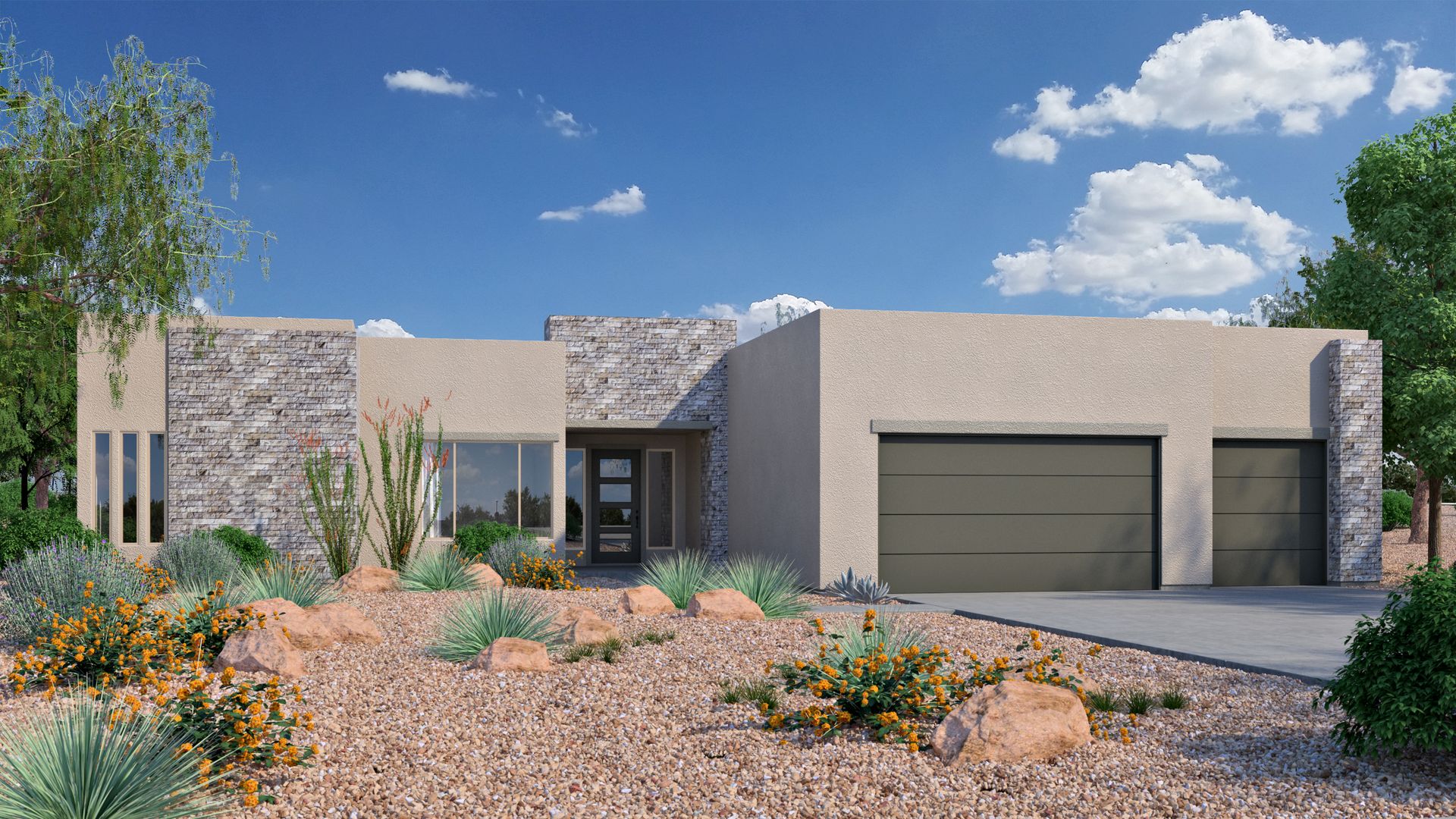 2900 Mesquite Desert Modern