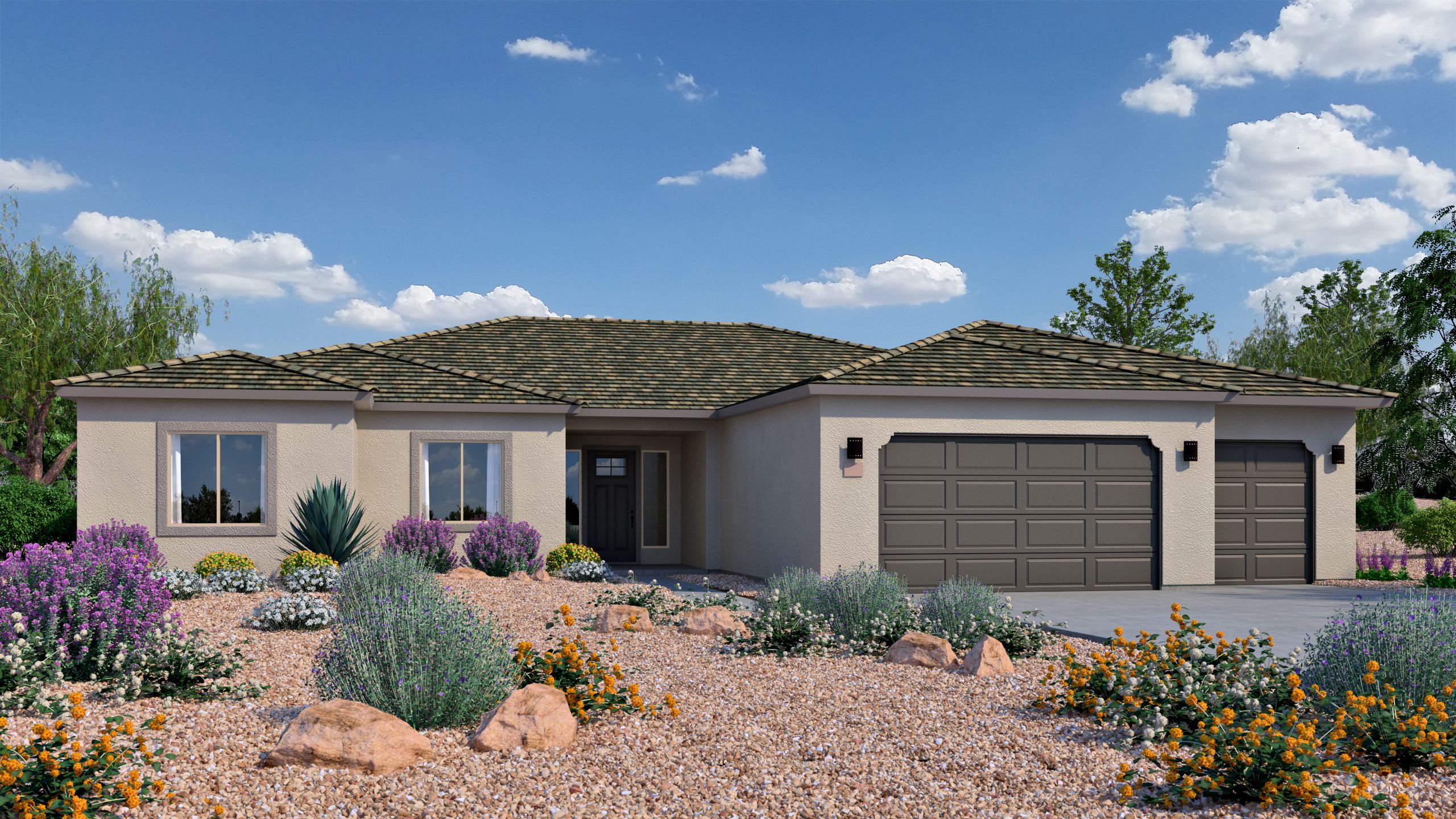 2900 Mesquite Sonoran