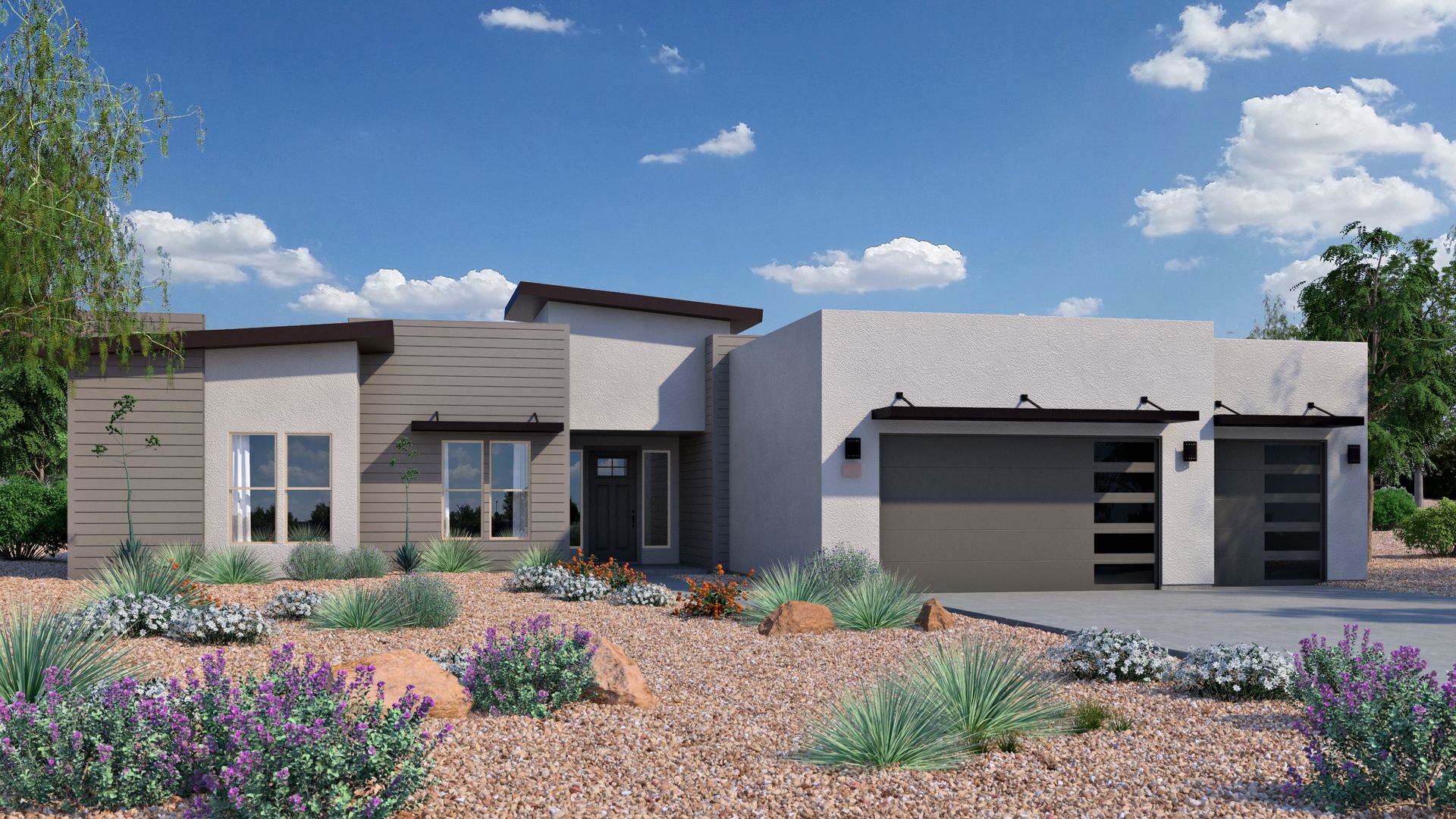 2900 Mesquite Desert Contemporary  Enhanced