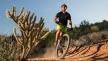 Boulder Canyon - Marana, AZ