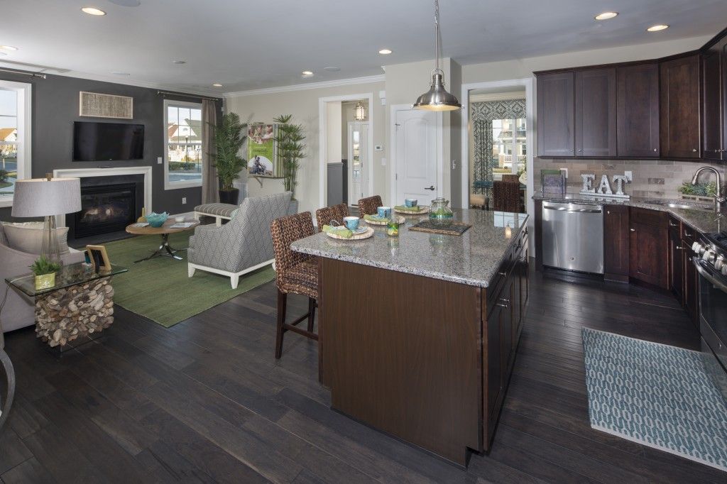 Kitchen and Living Area