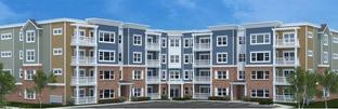 Shiraz - Vineyards: Lewes, Delaware - Fernmoor Homes