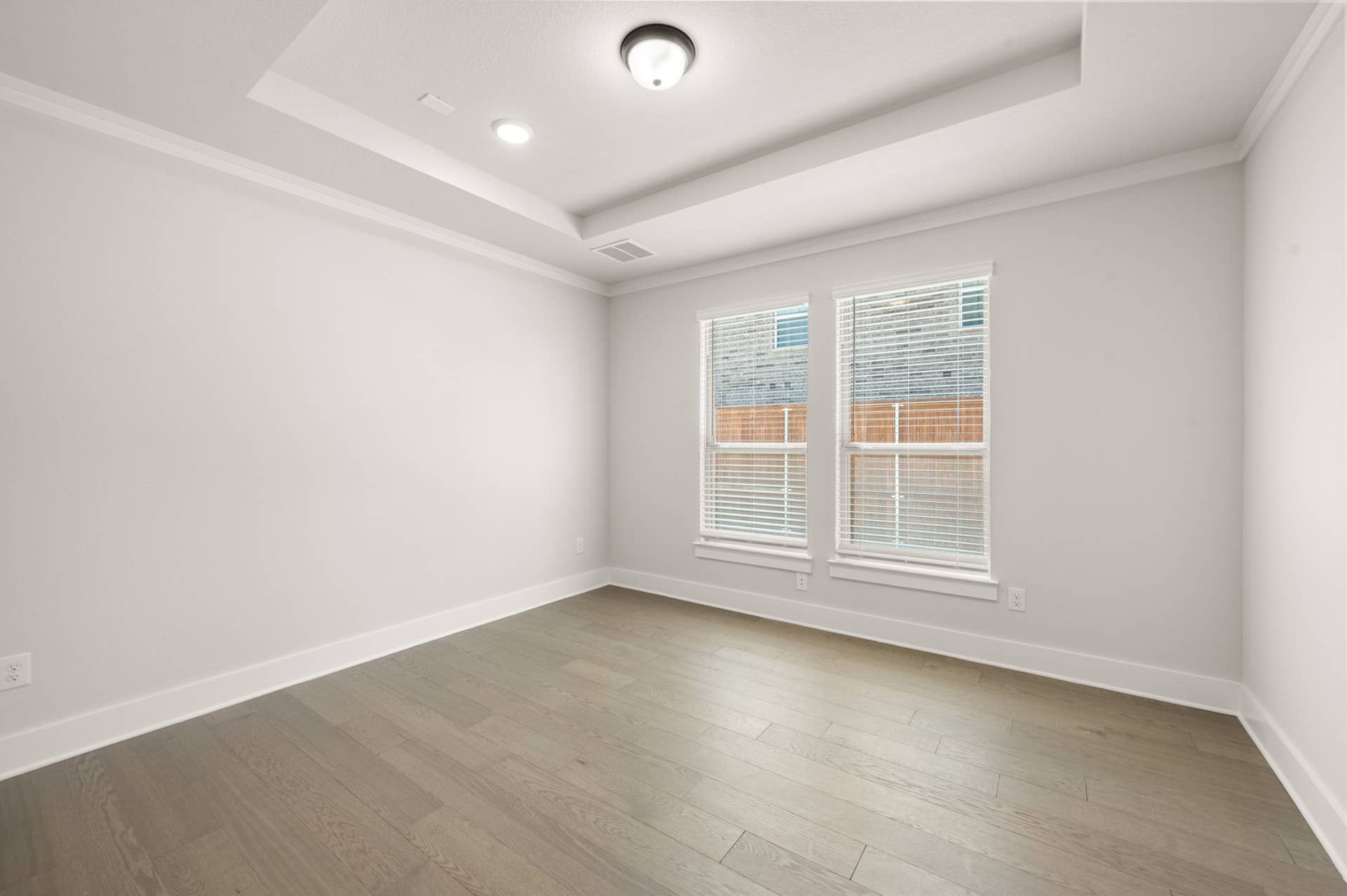 Spacious dining room with tray ceiling and natural light from two windows.