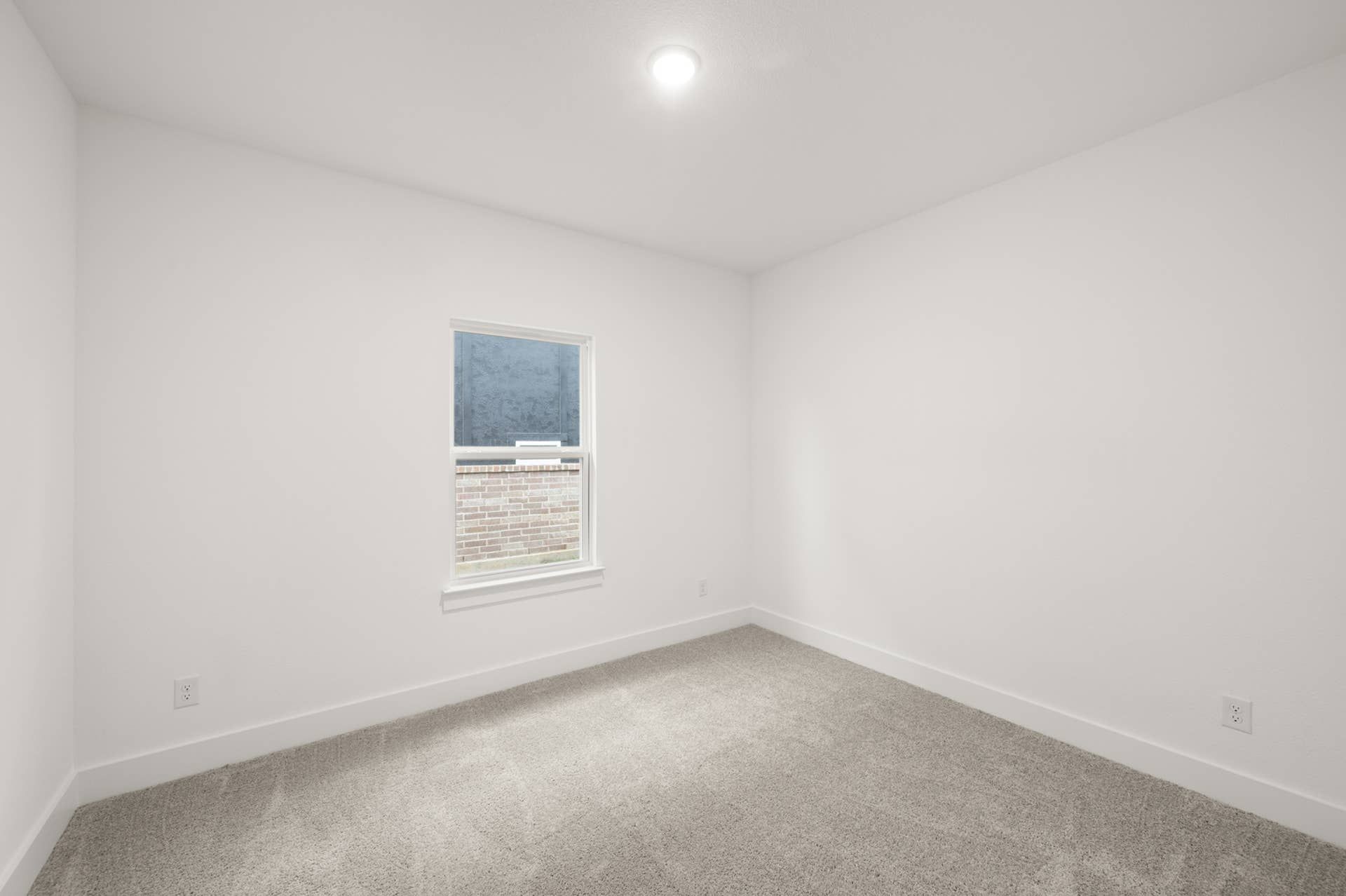 Minimalist bedroom with carpet flooring and single window.