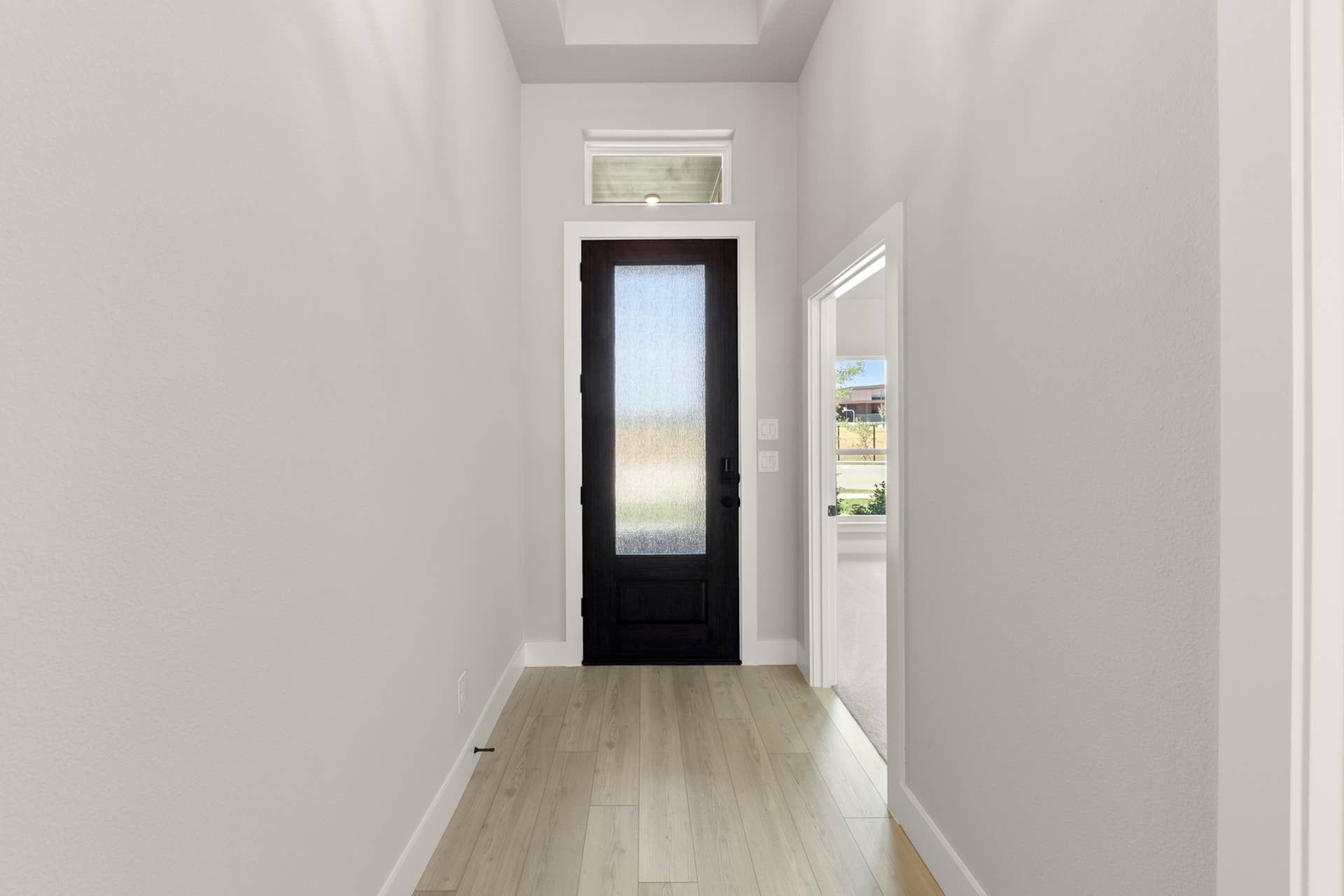 Modern entryway with frosted glass door and light wood flooring.