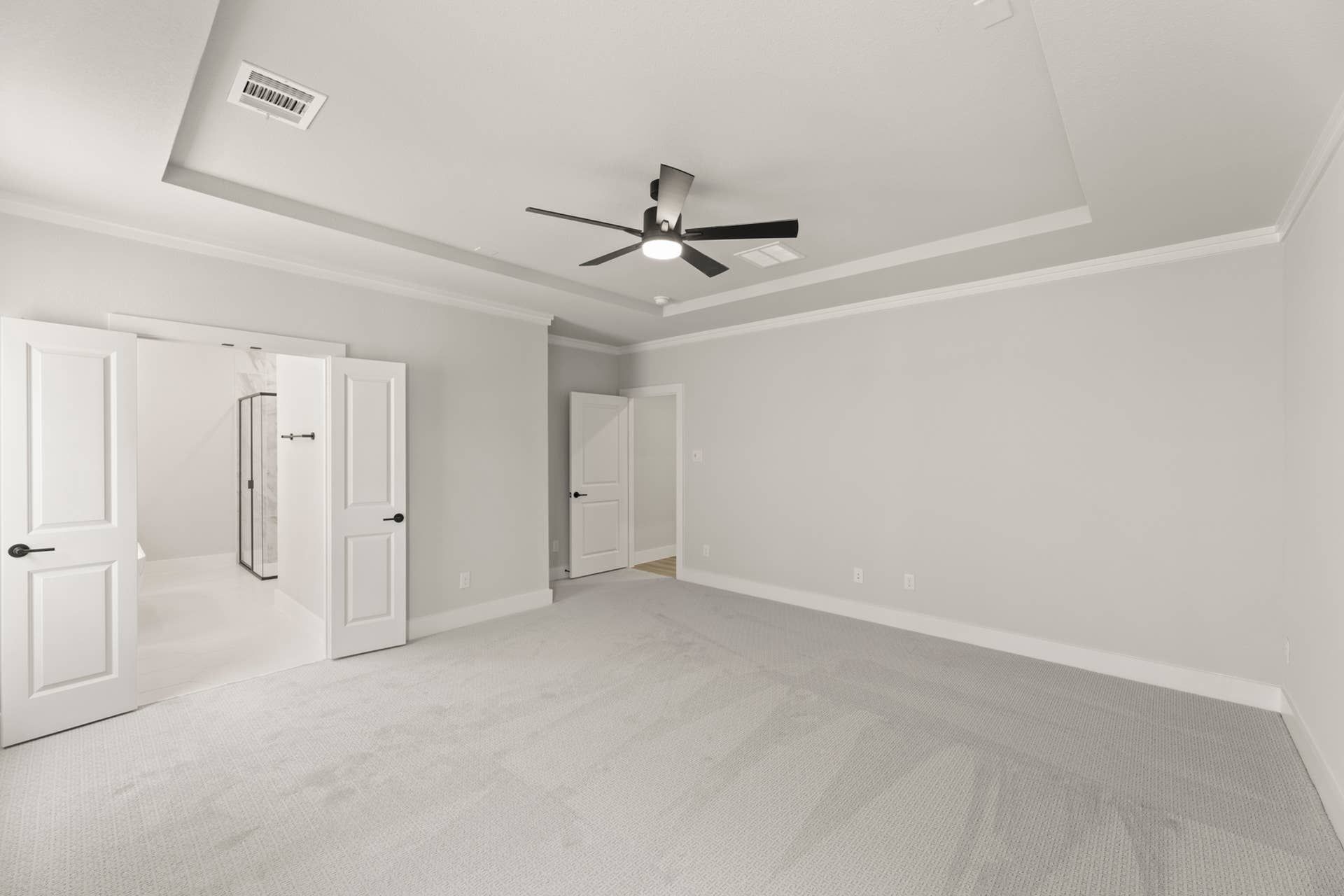Spacious primary bedroom with tray ceiling, carpet flooring, and en-suite bathroom access.