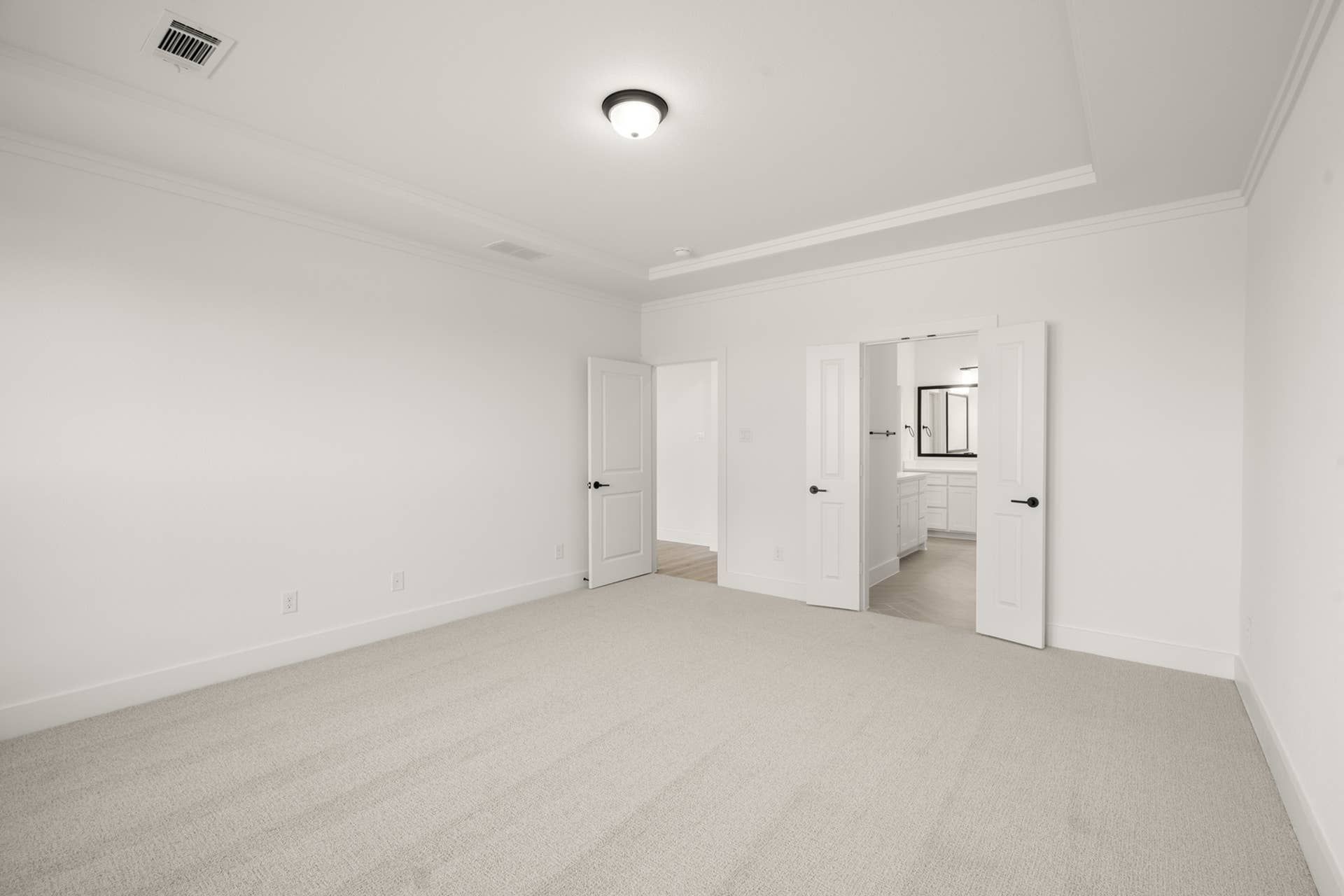Spacious primary suite with carpet flooring and en-suite bathroom access.