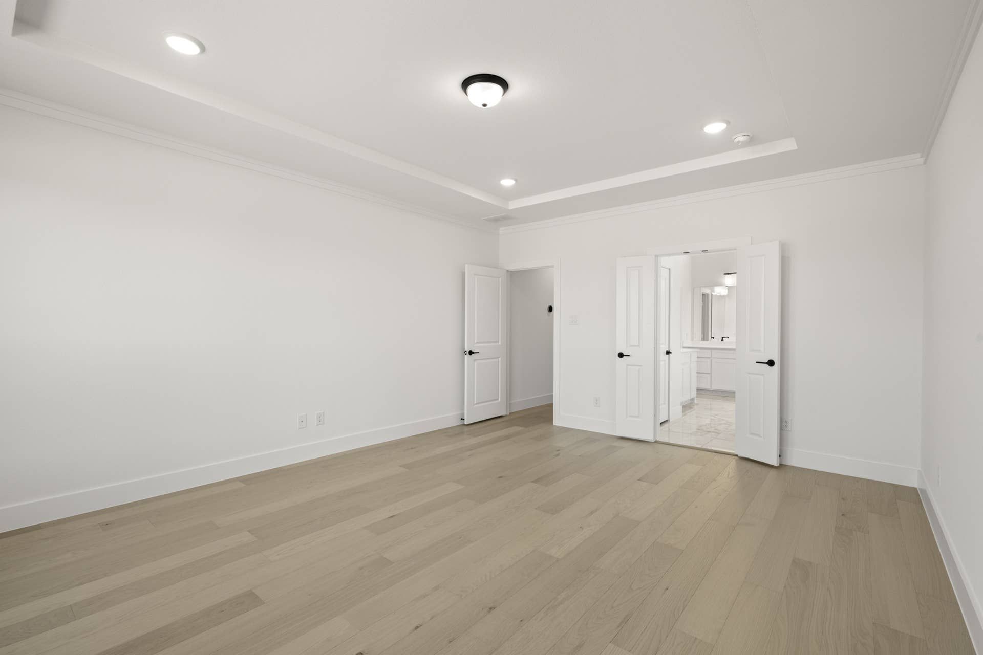 Spacious primary suite with wood flooring and tray ceiling.