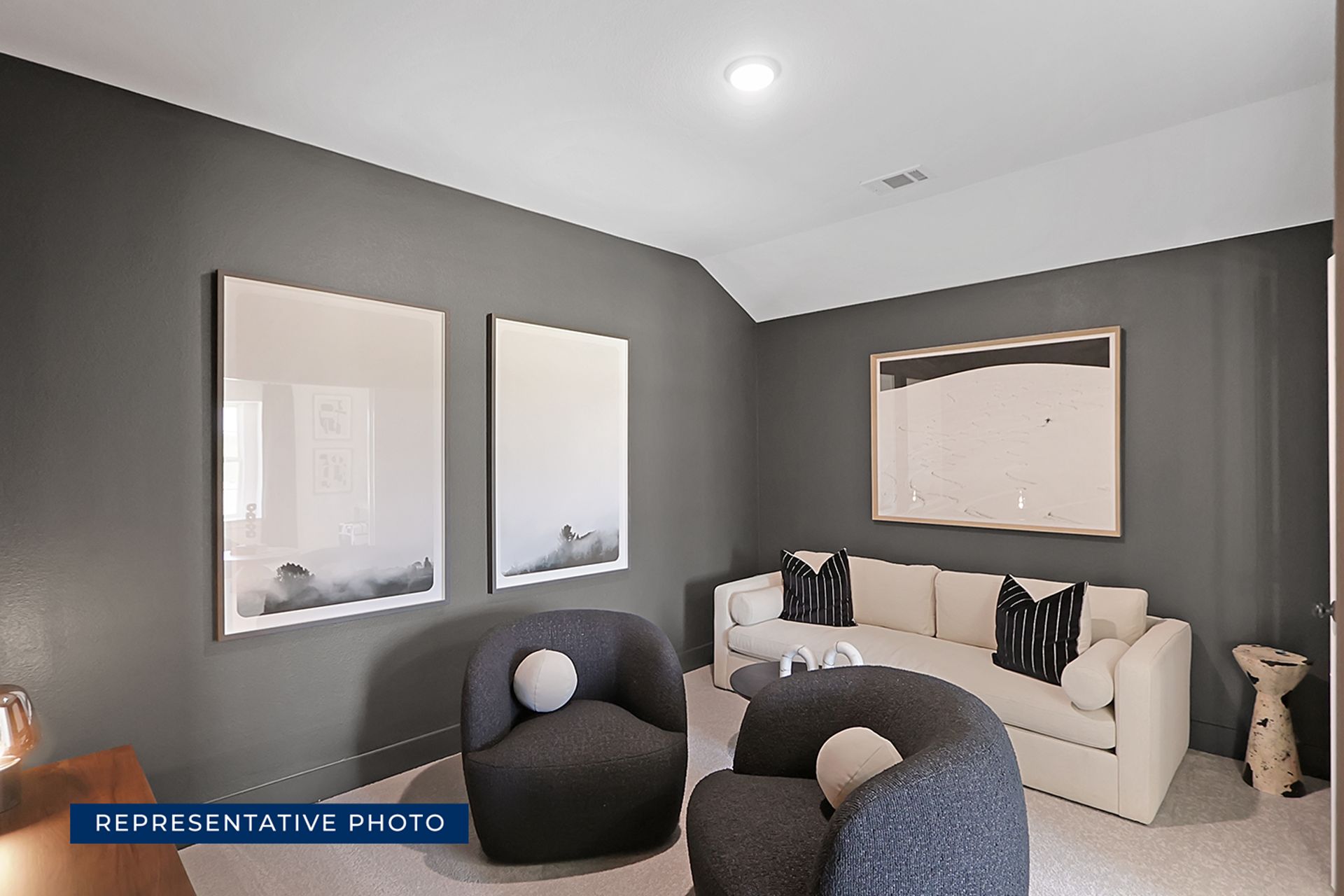 Representative photo of modern living room with dark walls and stylish furniture.