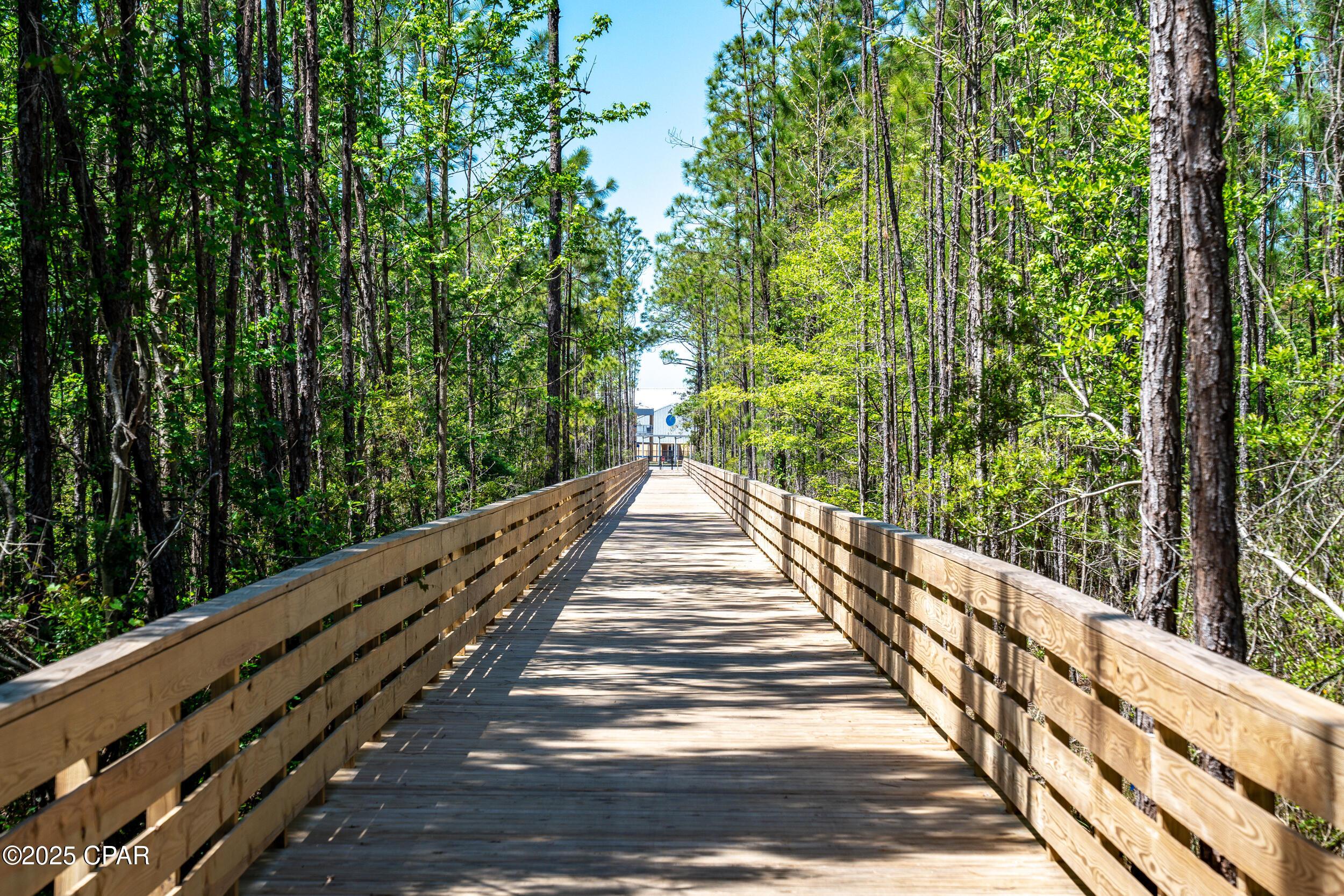 843 Crystal Bayou Boulevard (Olive)