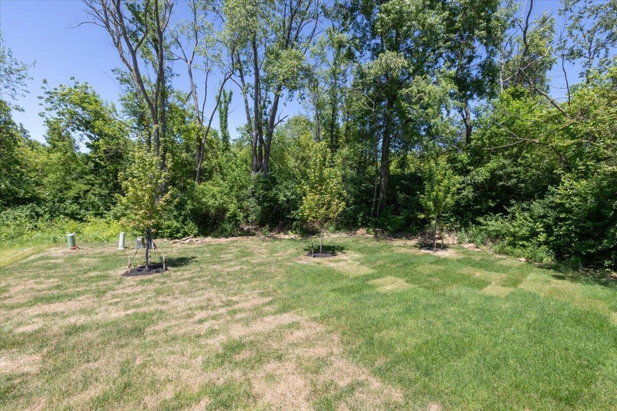 32-Back Yard