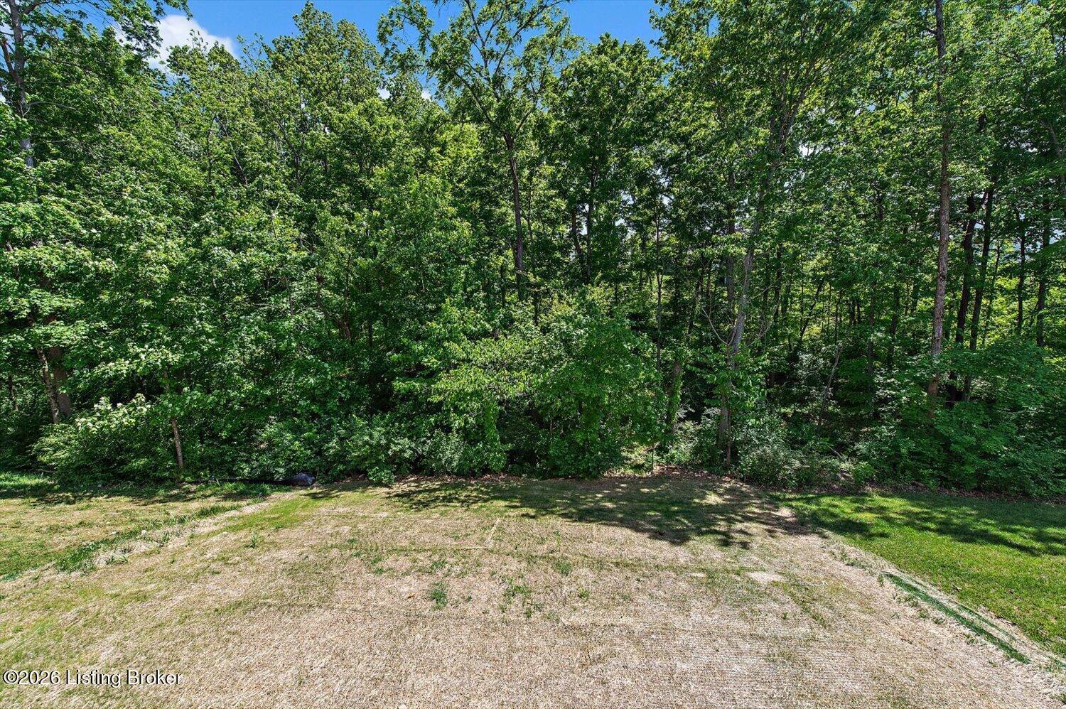 27-Back Yard