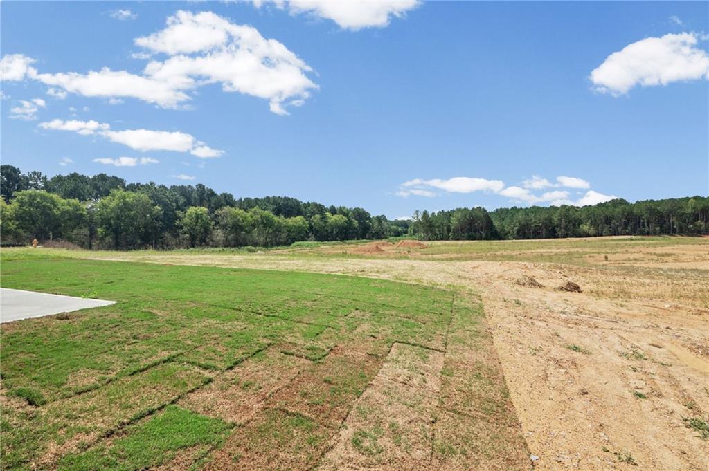 Expansive lot featuring a partial sod lawn and undeveloped land, bordered by a dense tree line