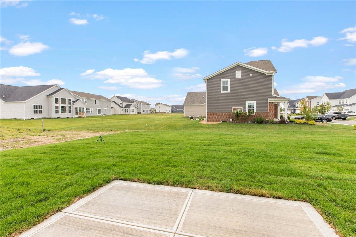 41-Back Yard