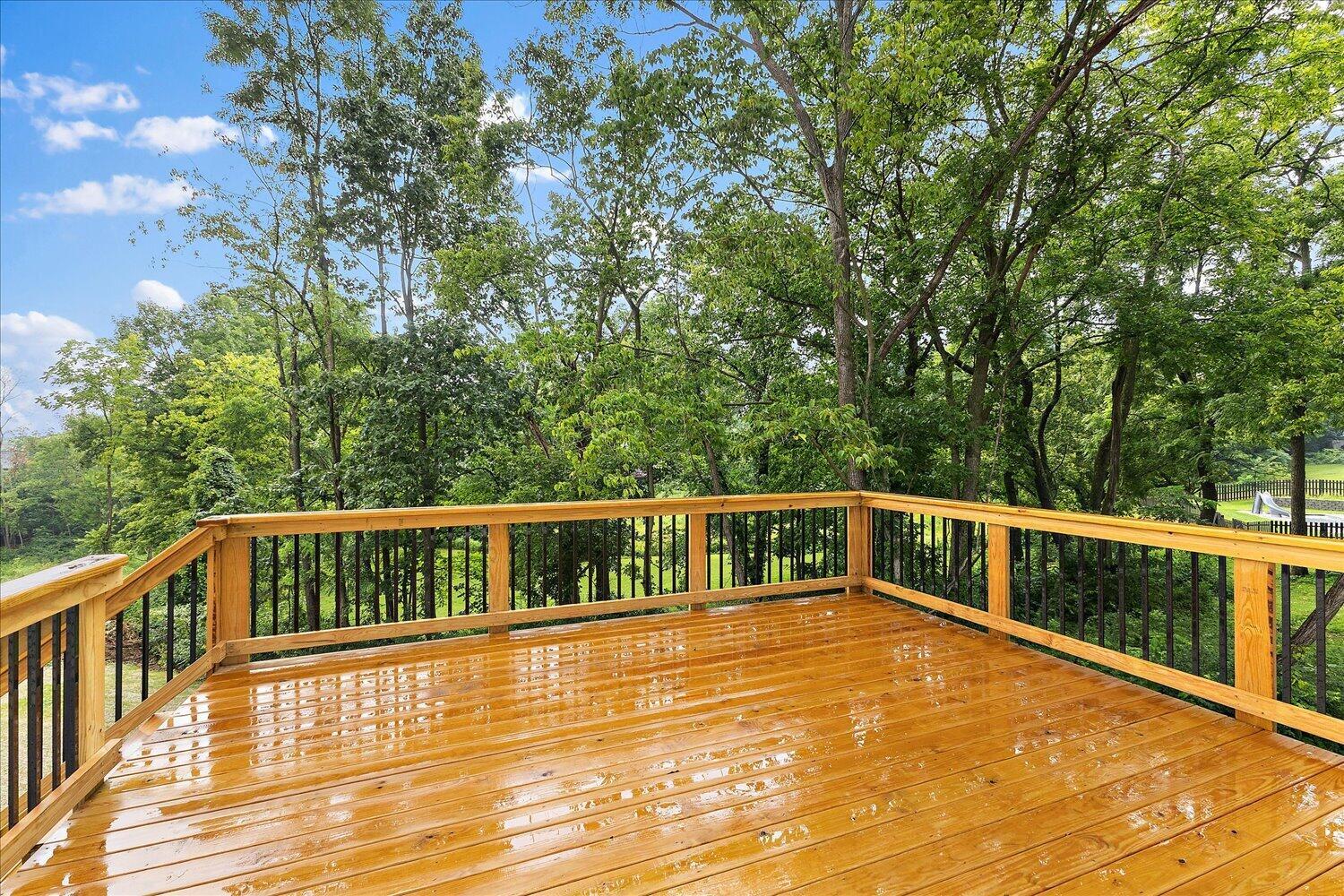 36-Deck View