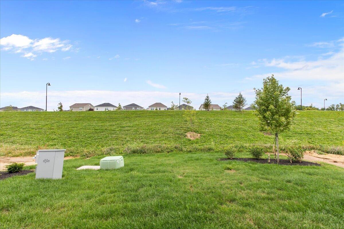 29-Back Yard