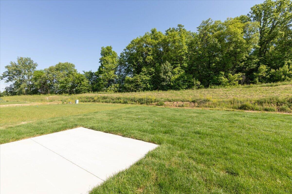30-Back Yard