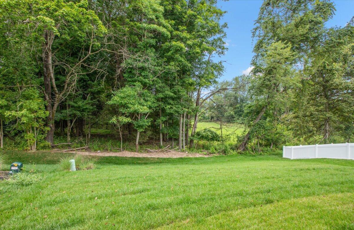 33-Back Yard