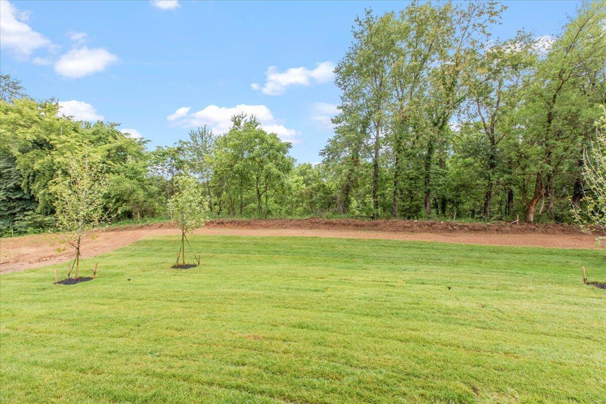 37-Back Yard