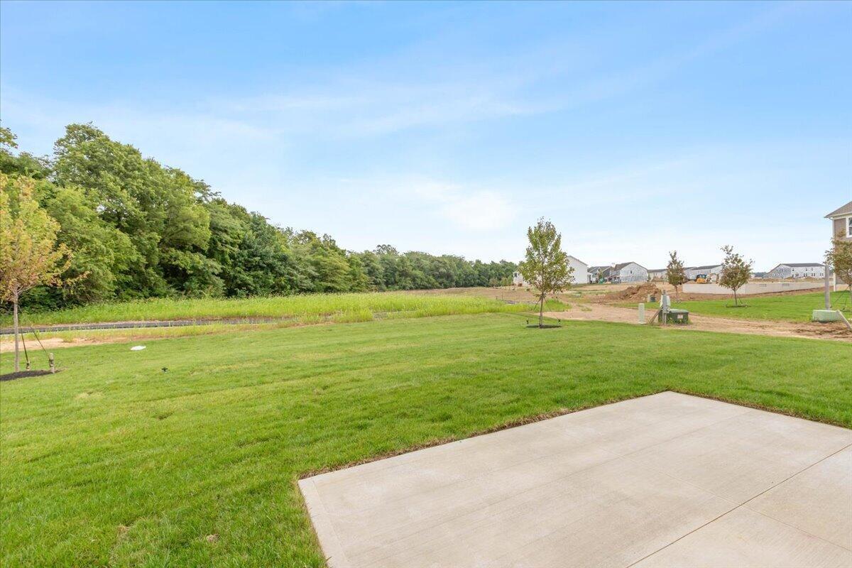 38-Back Yard