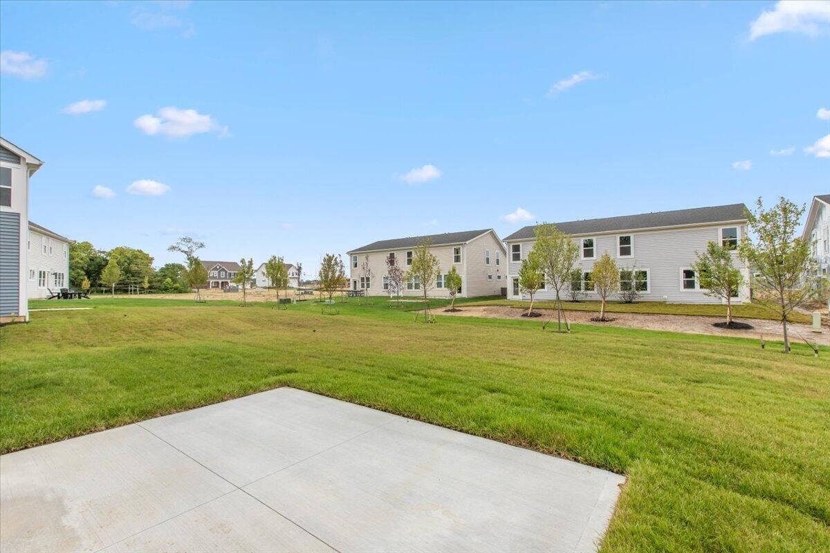 34-Back Yard