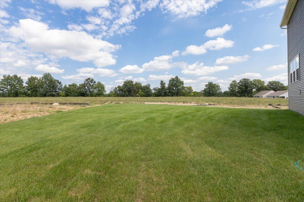34-Back Yard