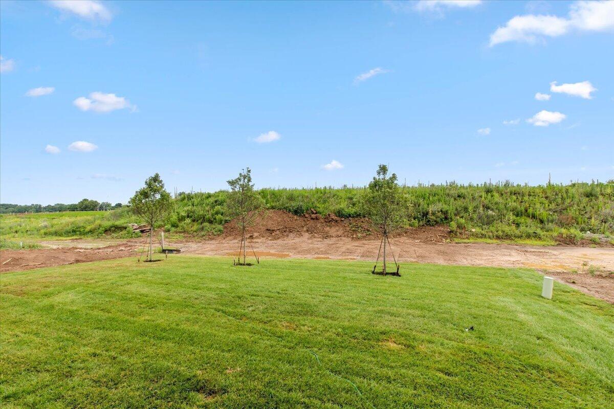 35-Back Yard