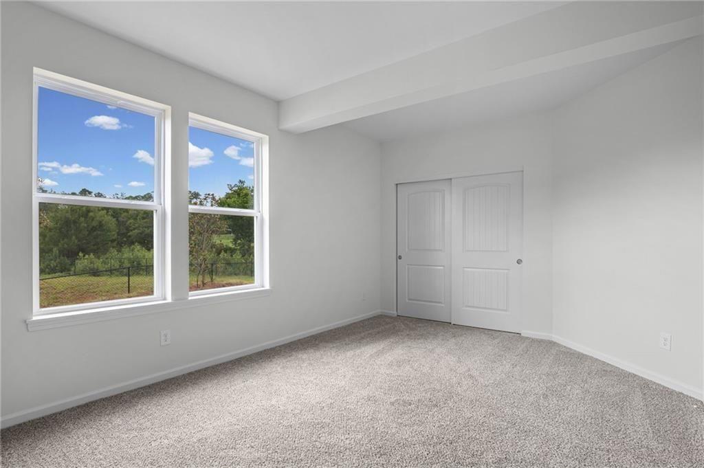 Twin windows showcasing a natural landscape
