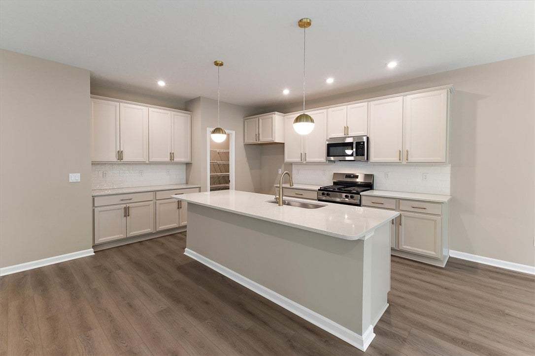 Elegant hardwood flooring anchors a modern kitchen