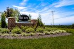 Ivy Rose - Green Township, OH