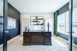 Willow Green - Latonia, KY