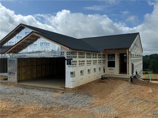 Wembley - Villas at Gold Creek: Dawsonville, Georgia - Fischer Homes