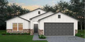 203 Wind Ridge Drive (Lampasas)