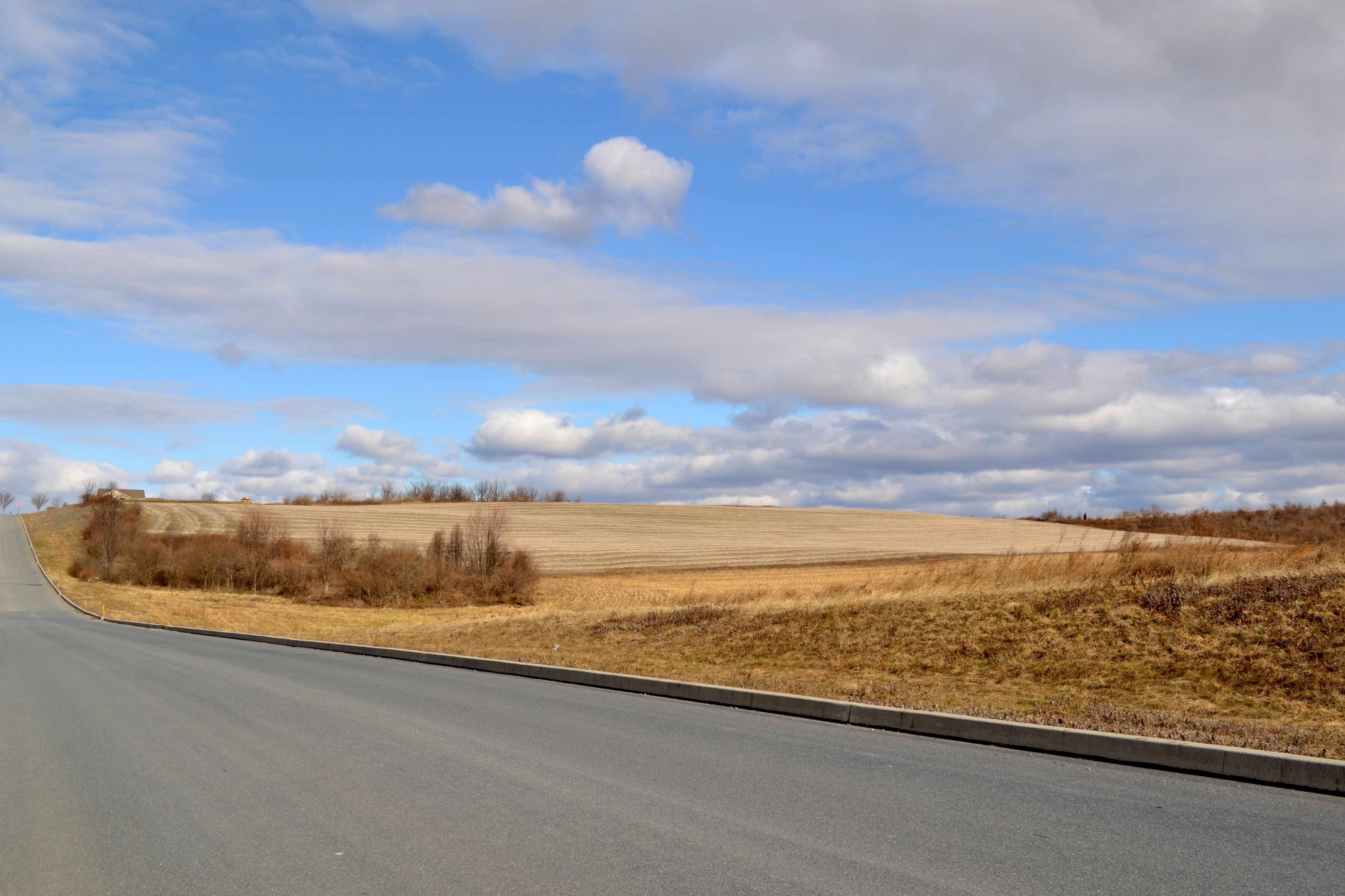 McIntosh Farms Coming Soon