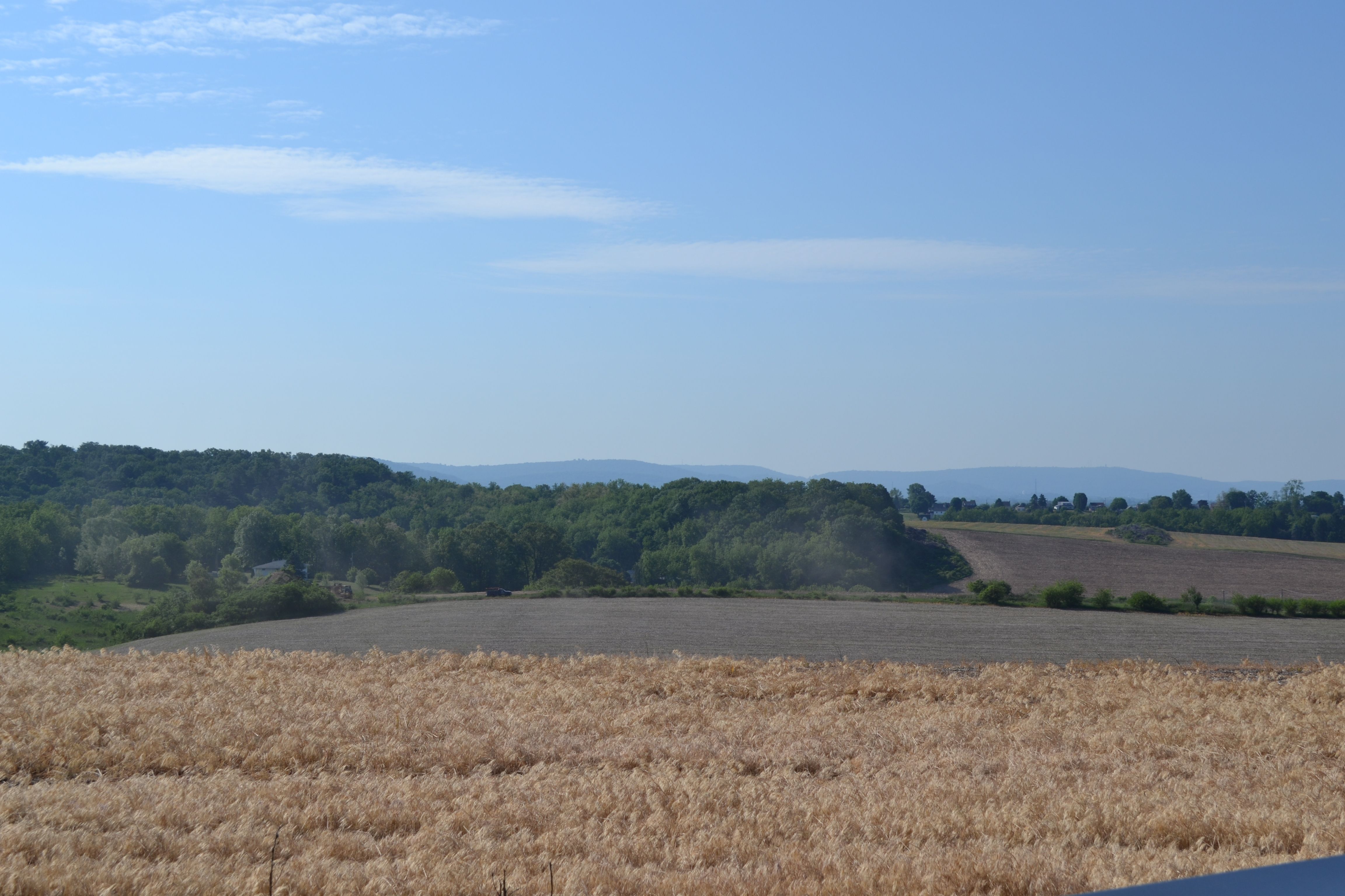 McIntosh Farms Coming Soon