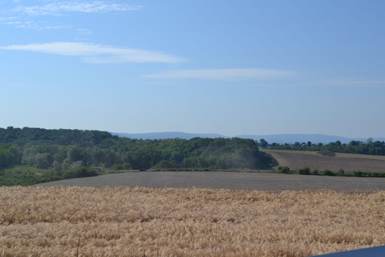 McIntosh Farms Coming Soon