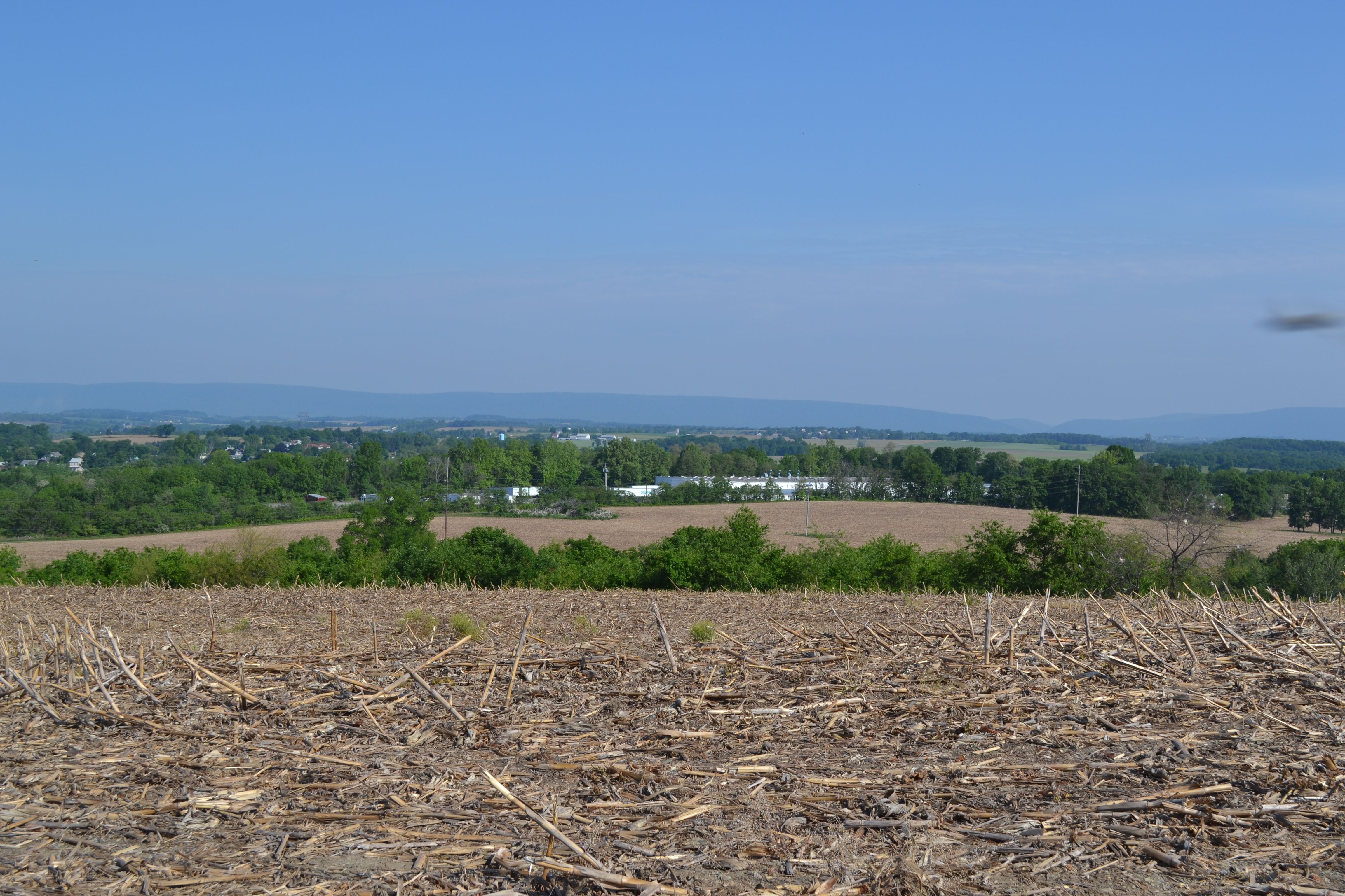 McIntosh Farms Coming Soon