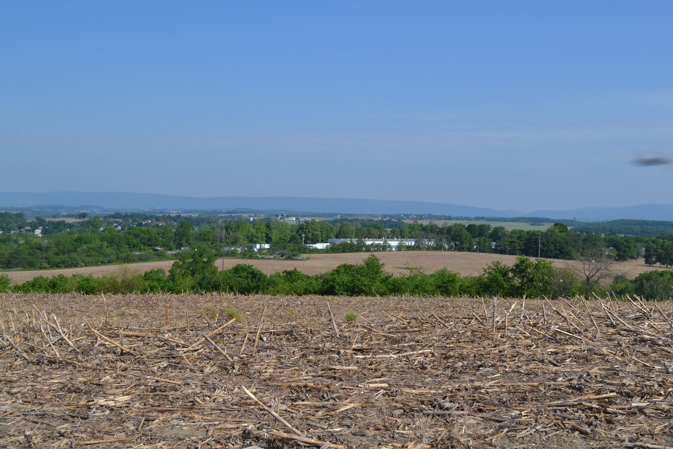 McIntosh Farms Coming Soon