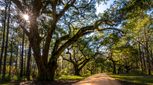 Teal Bluff - Seabrook, SC