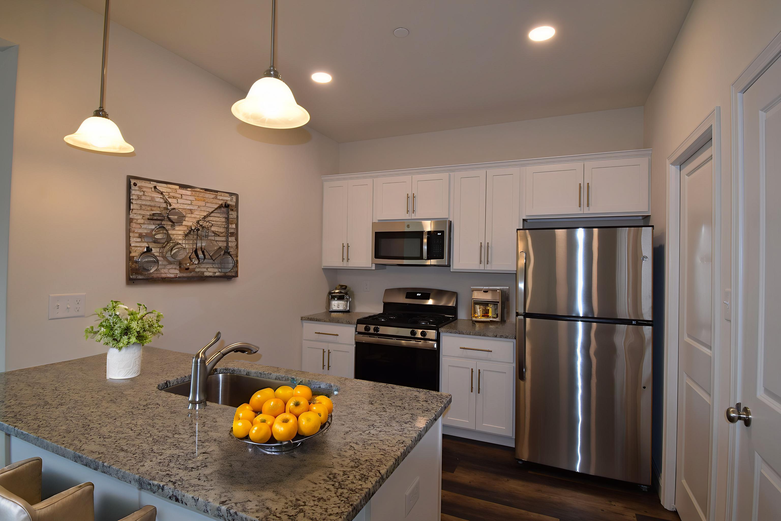 209 Lucille Way (Addison)