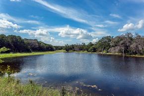 Crescent Bluff - Georgetown, TX