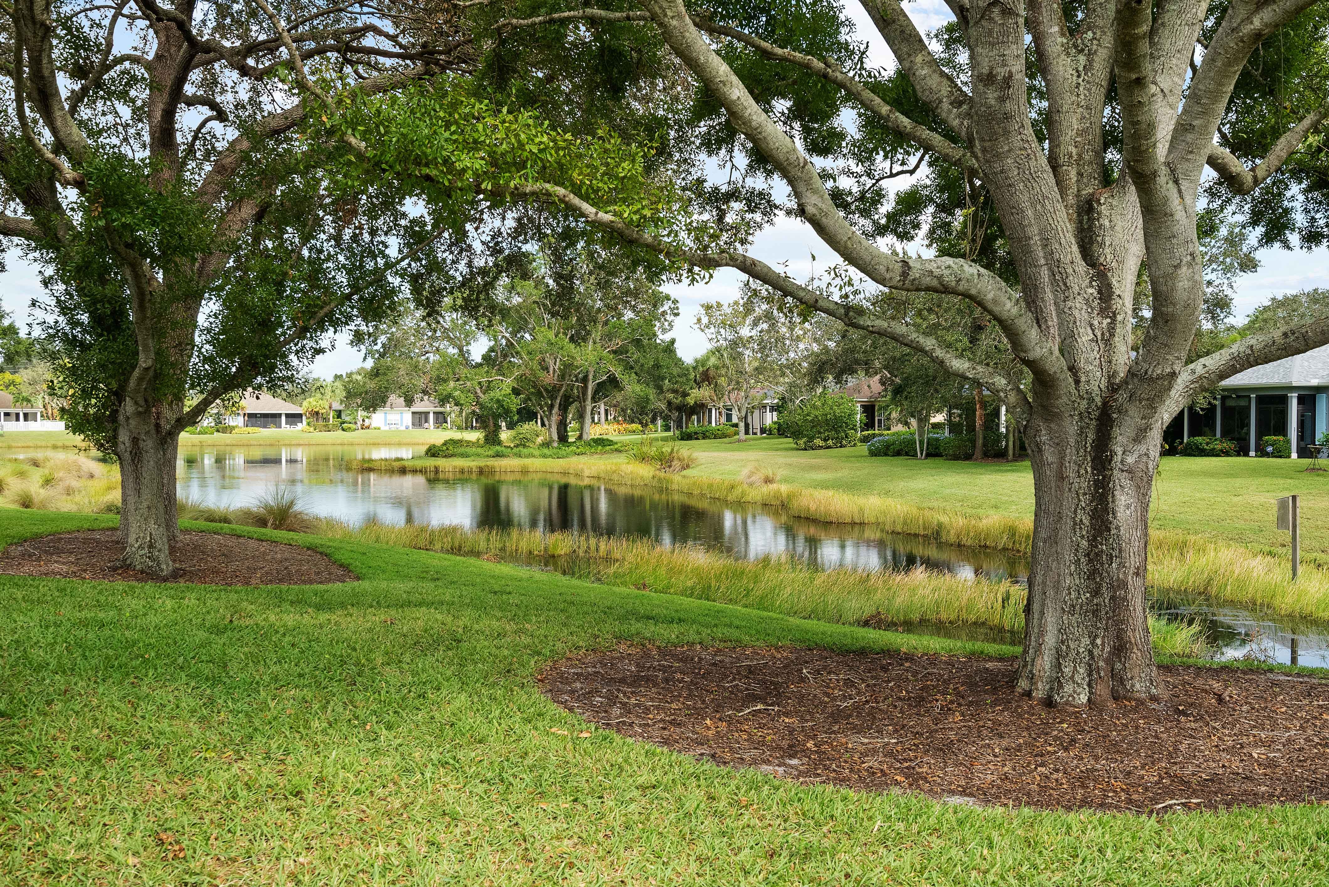 Backyard View | 236 Oak Hammock Cr SW