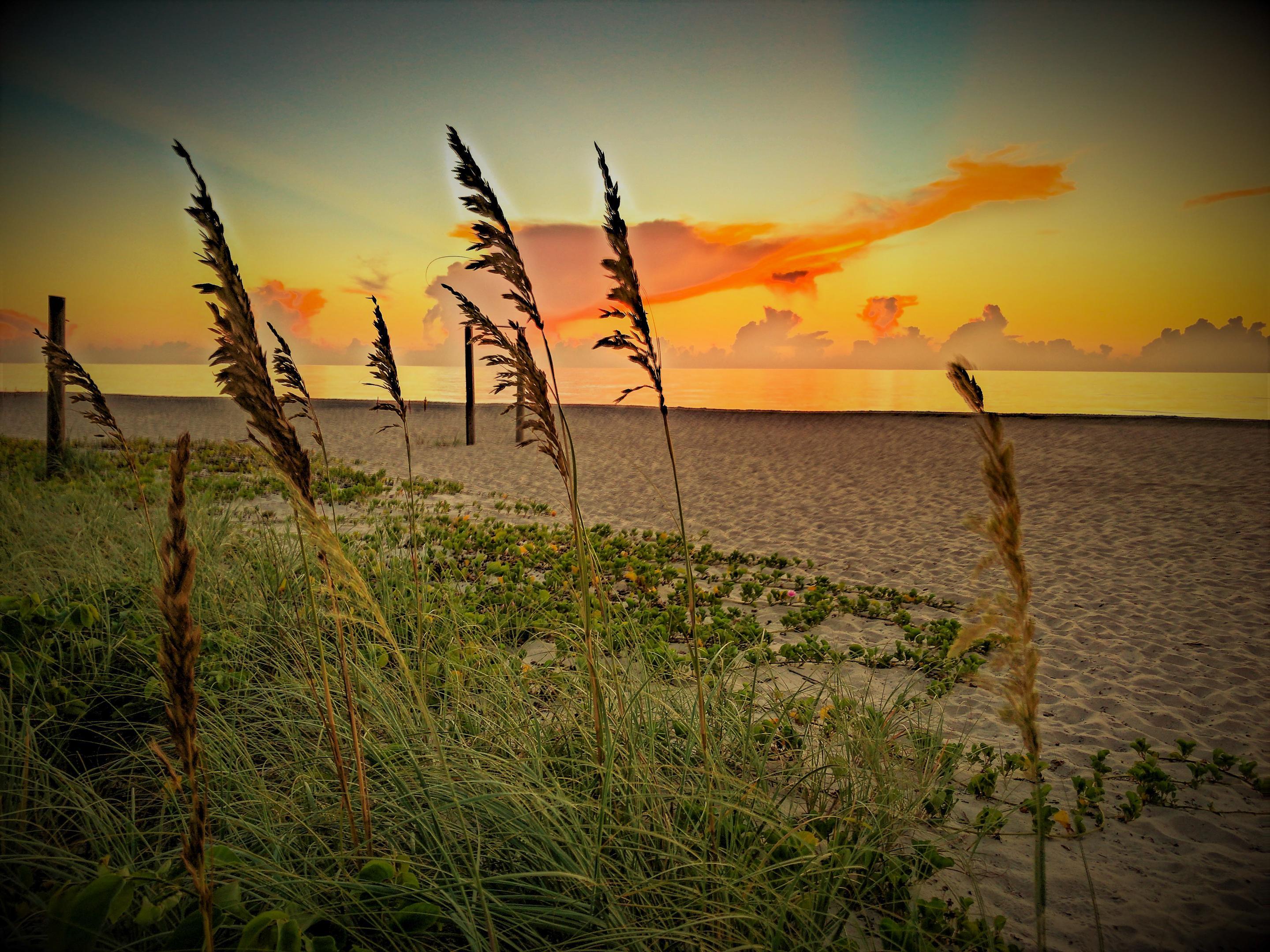 Central Beach por GHO Homes en Indian River County Florida