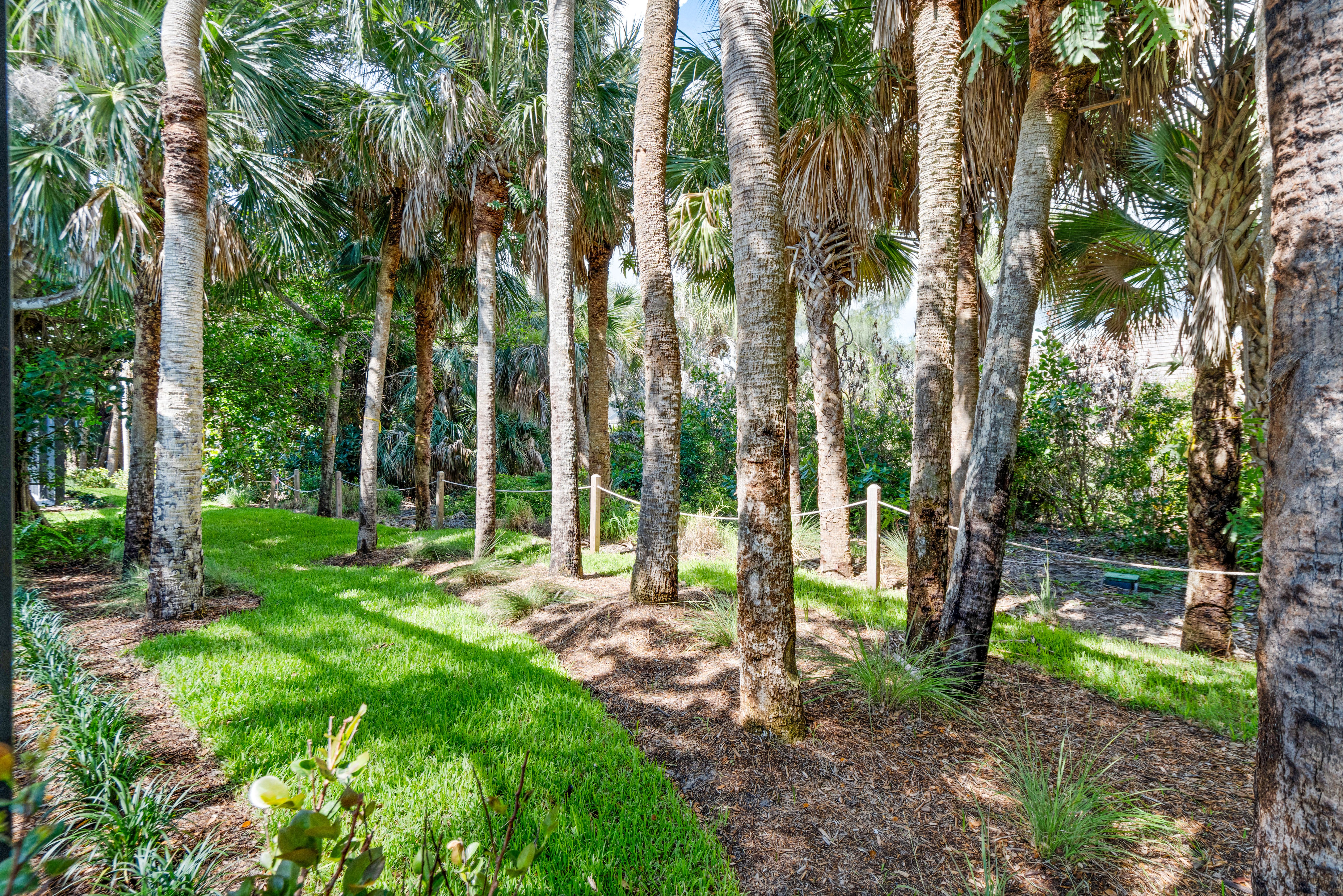 Backyard | 9241 Seaglass Ct