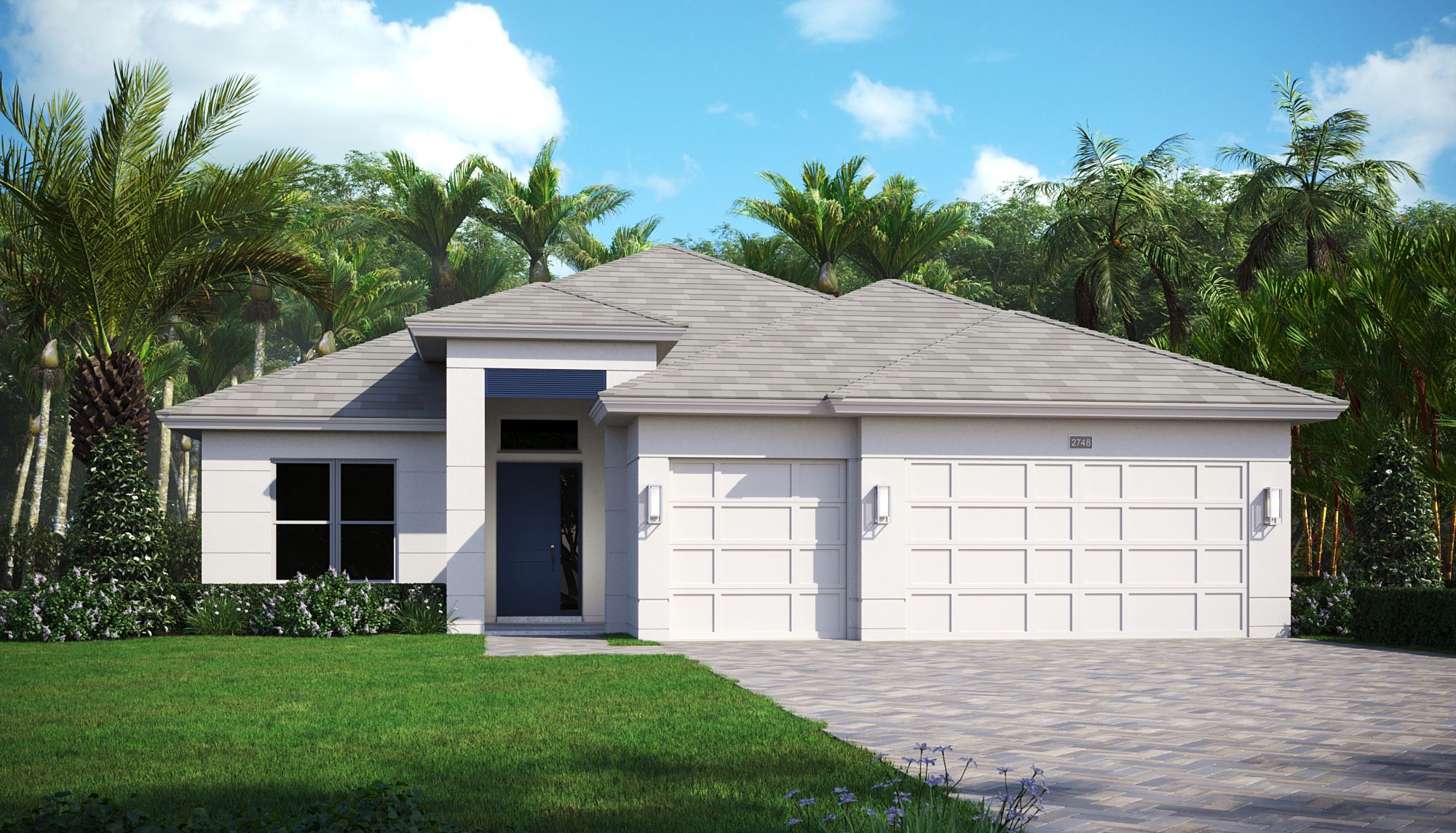 Contemporary Elevation | Ironwood