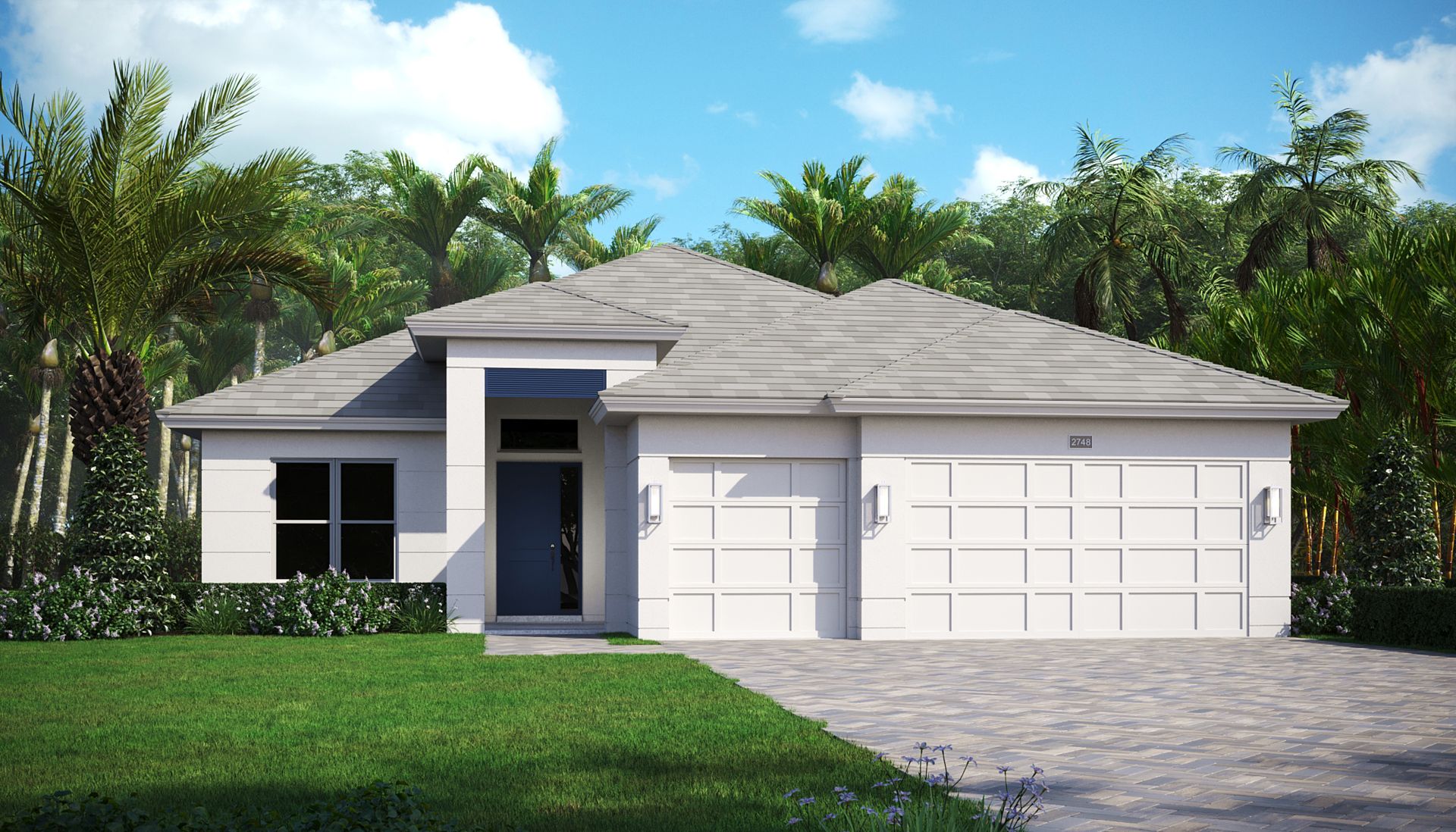 Contemporary Elevation | Ironwood