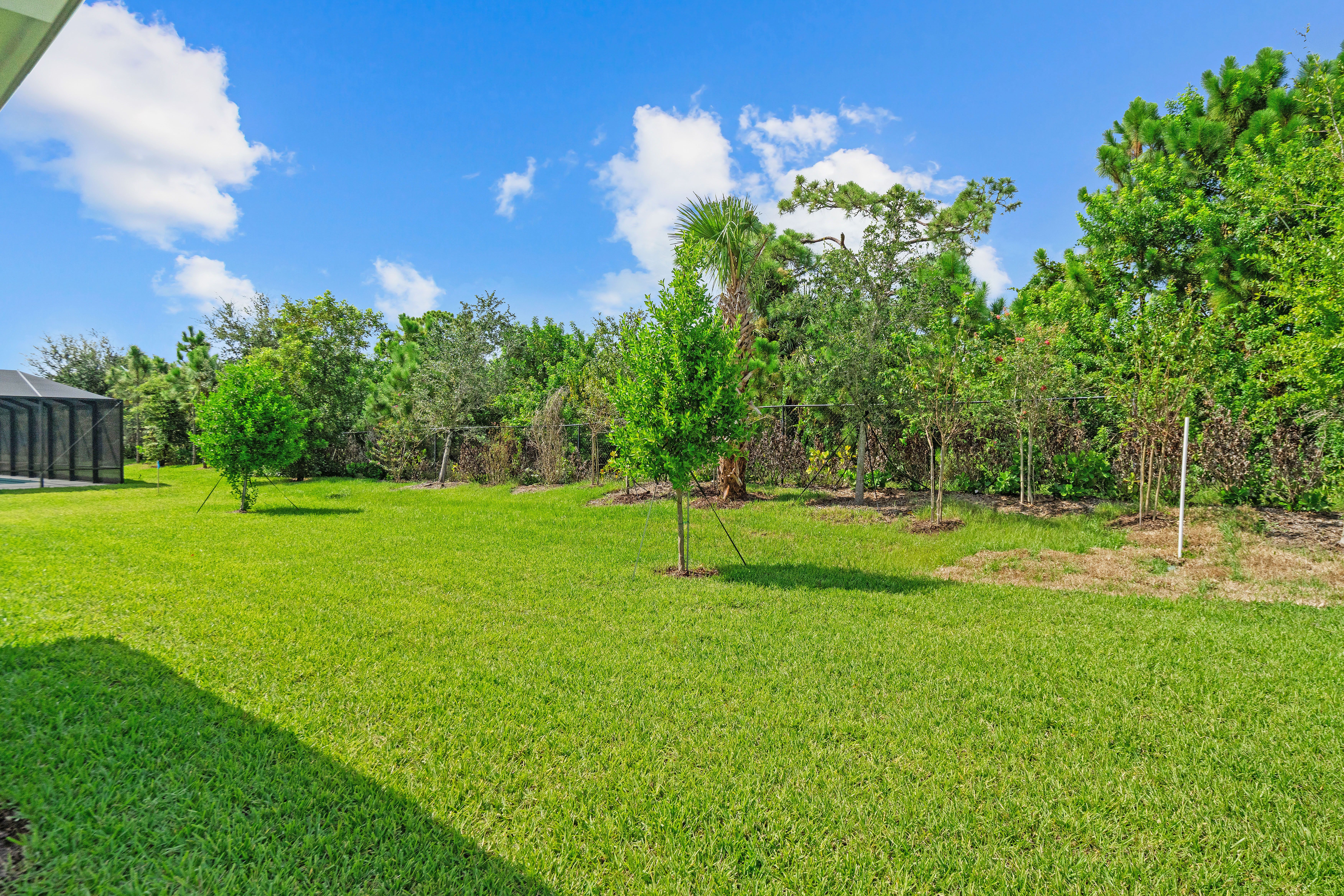 Backyard | 4090 Tower Pointe Way
