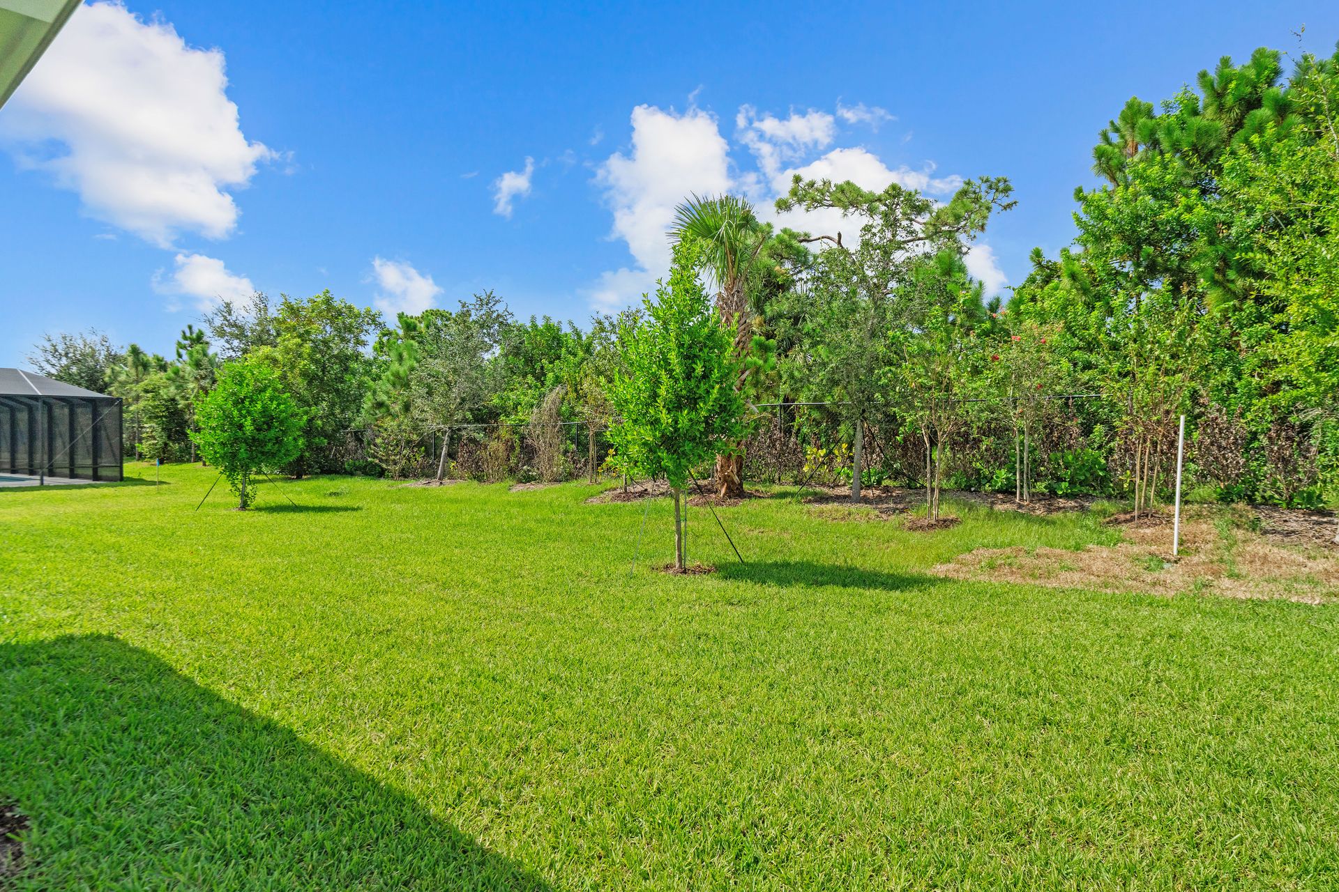 Backyard | 4090 Tower Pointe Way